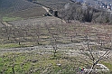 VBS_0928 - Santuario Madonna di Mombirone - Canale (CN)